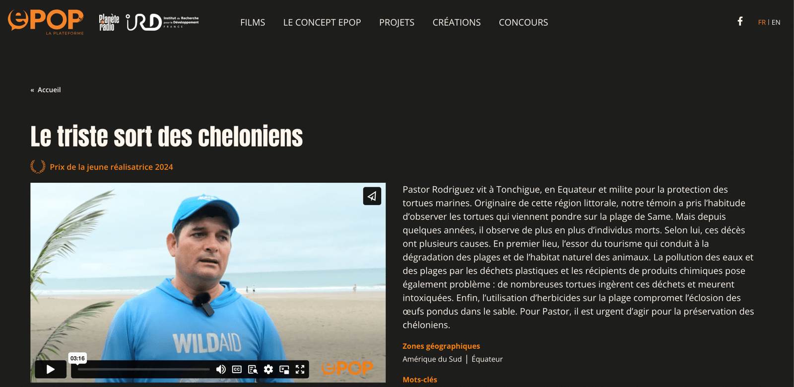 epop_network_cheloniens_imagen5
