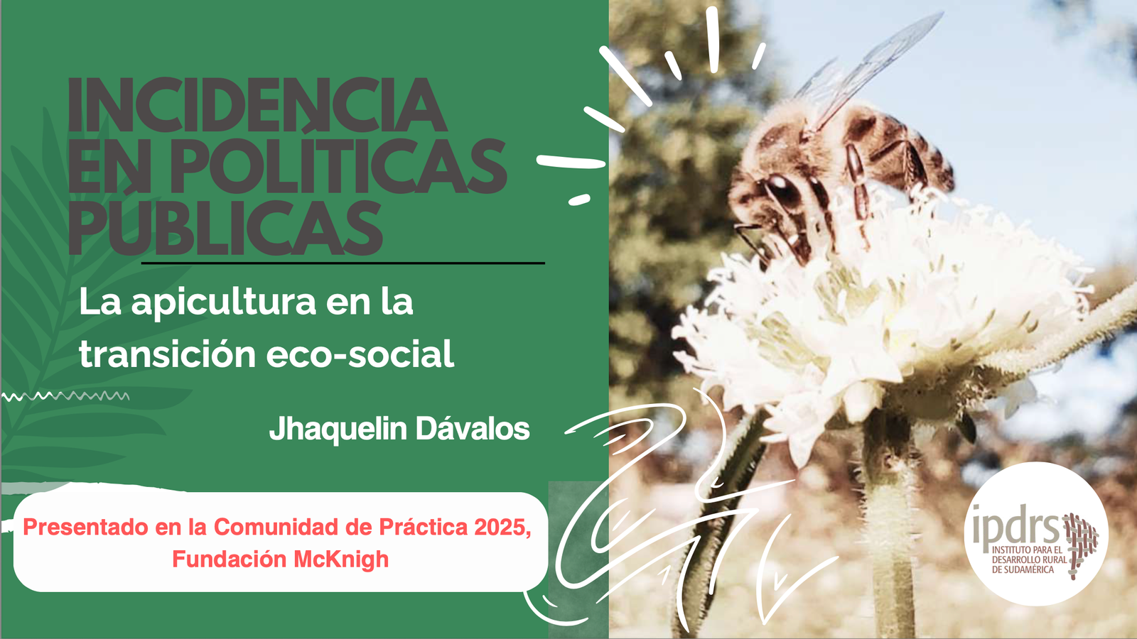 incidencia_publica_espAbierto3_pdf_img