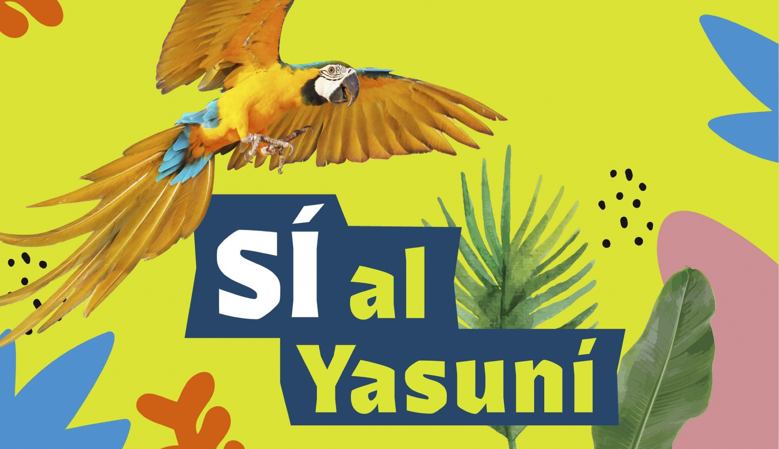siAlYasuni_politicasPublicas_espAbie_ppt_img